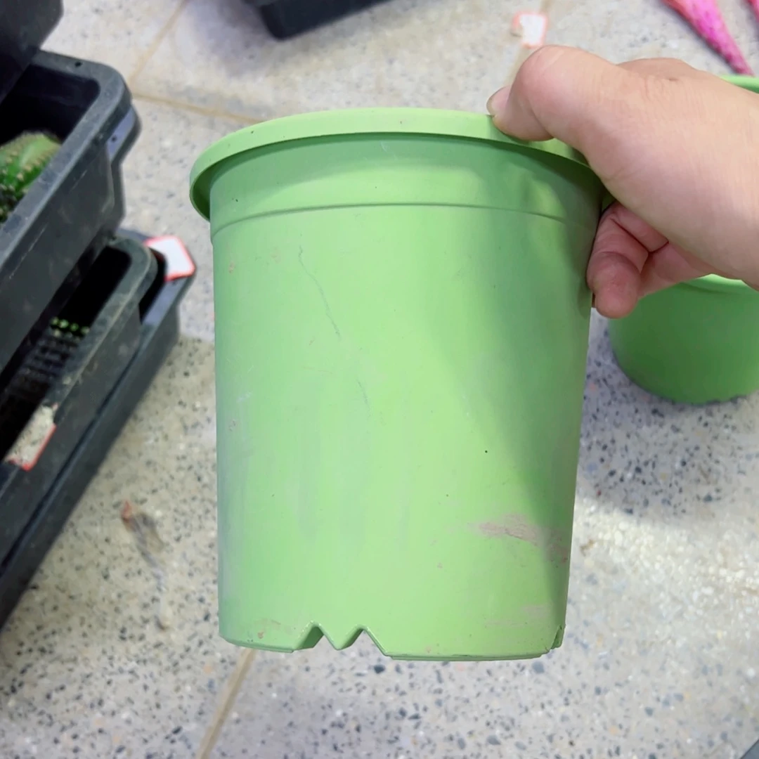 下105大绿盆2个口径20高19公分左右无托盘20包邮