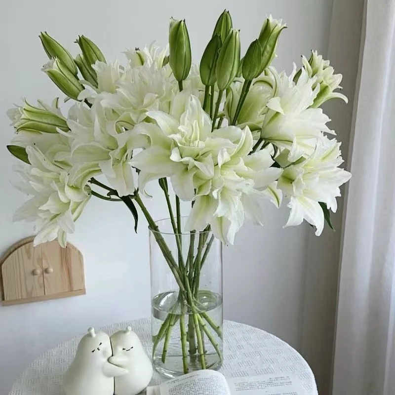 【艾莎重瓣百合5支左右保10花苞】【3单送配草，5单送配花】