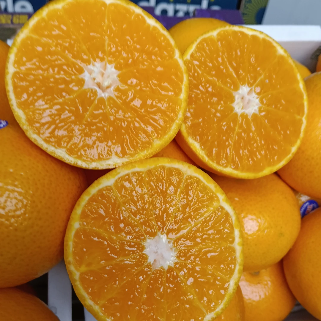 2ph澳柑很甜蜜甜汁水超足不涩口超好吃京东包邮