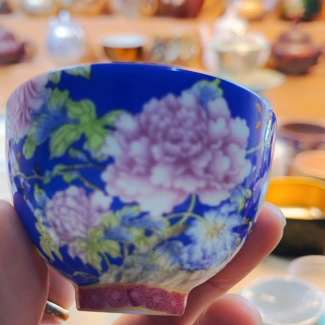 杯主人你主人杯主人杯