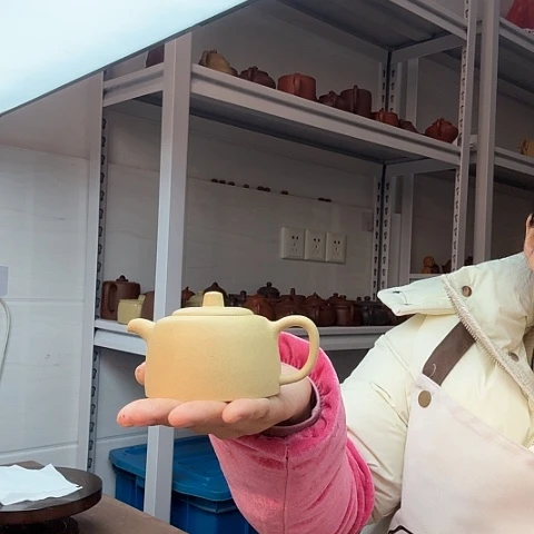 本山绿泥茶壶茶壶茶壶猪*妹