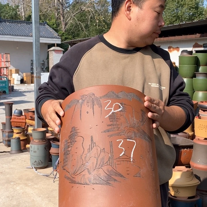 紫砂花盆盆栽花卉苗木种植