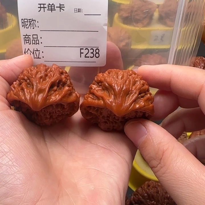 核桃蛇王蛇王蛇王41