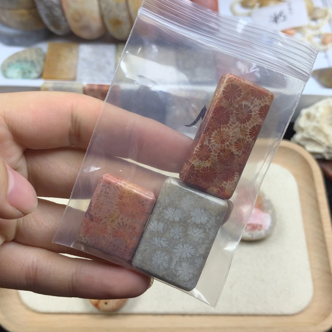 硅化珊瑚（珊瑚玉）无未镶嵌p****?