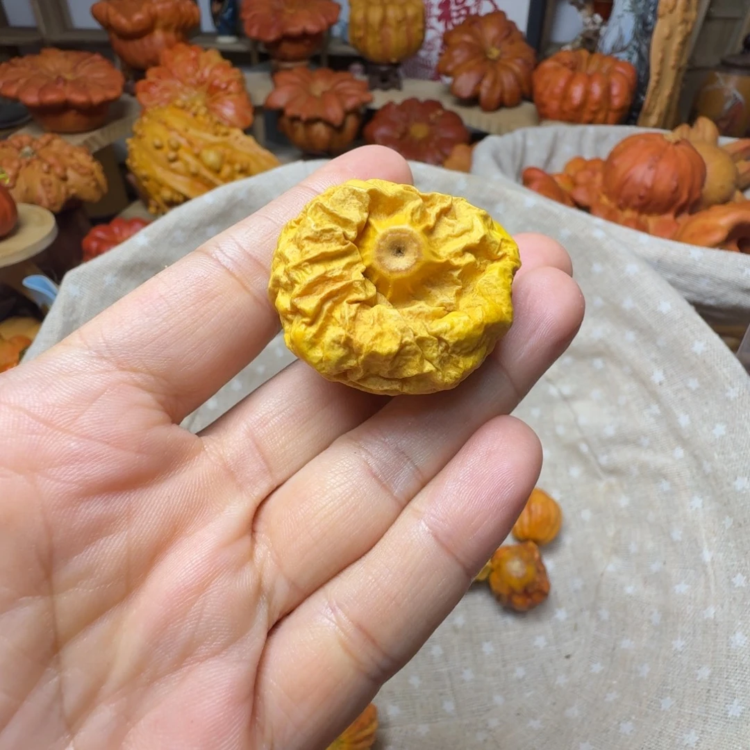 稍***）特价抽葫芦不退不换