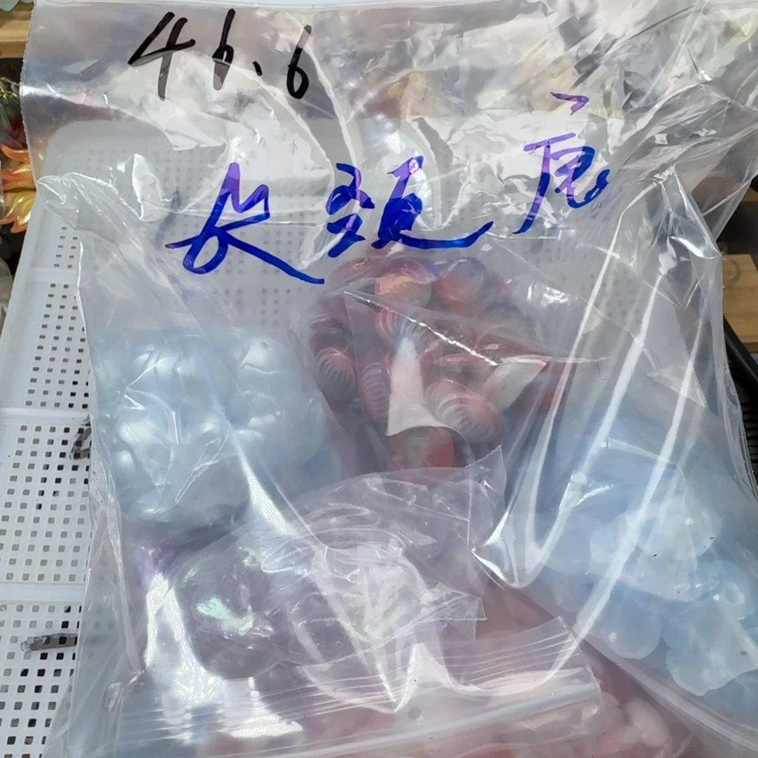 玻璃238长颈鹿专拍