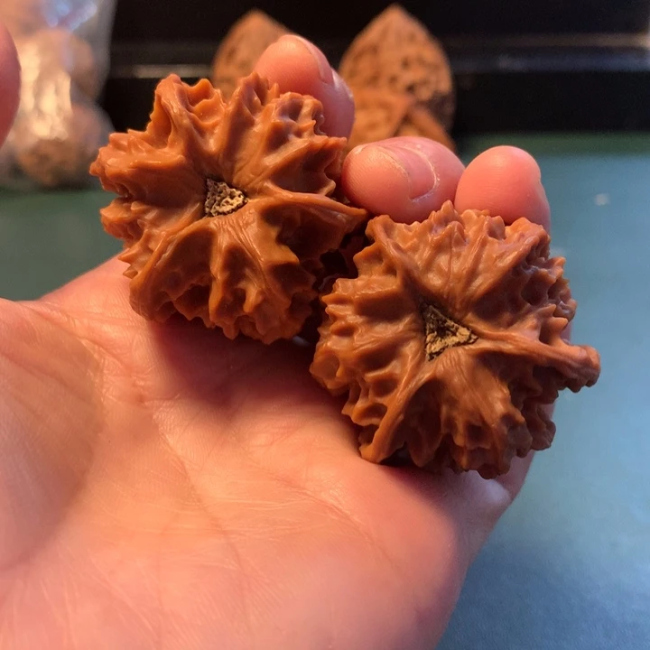 老***鼻桃核吊坠岐山三棱40尺