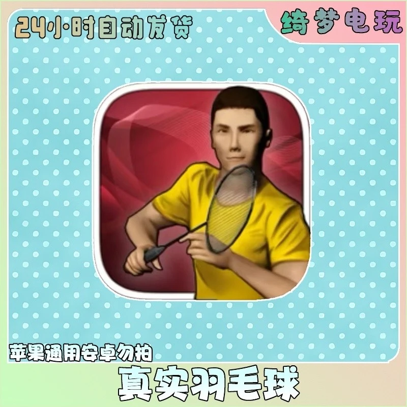 真实羽毛球 Real Badminton 手机游戏安装服务