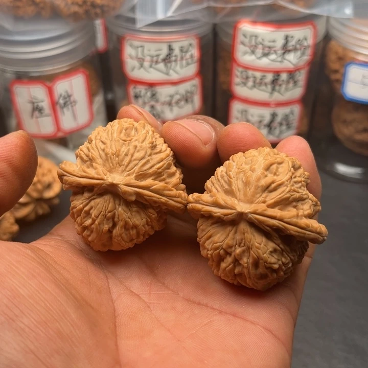 把件文玩核桃43白狮子