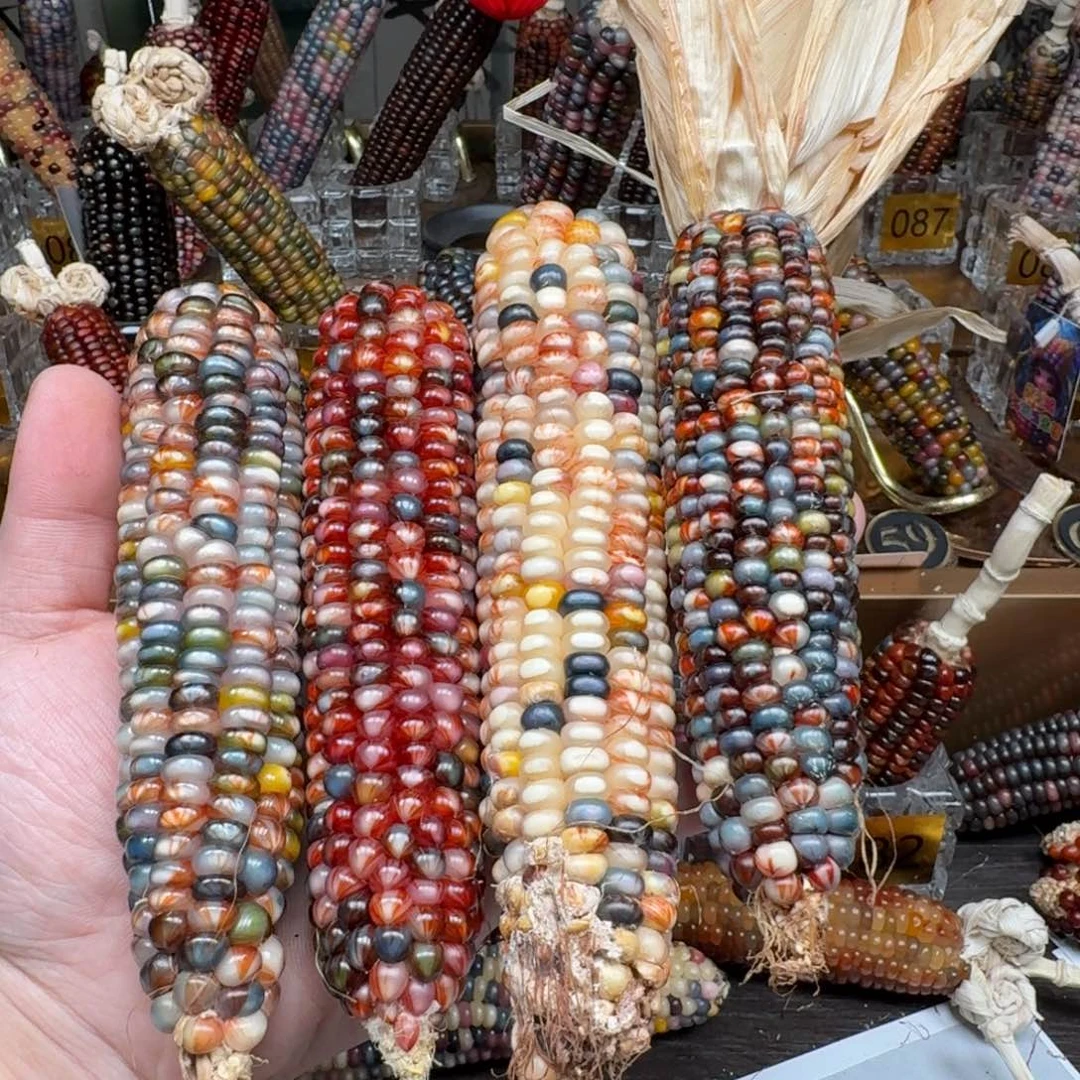 柏香籽/百香籽吊坠米*