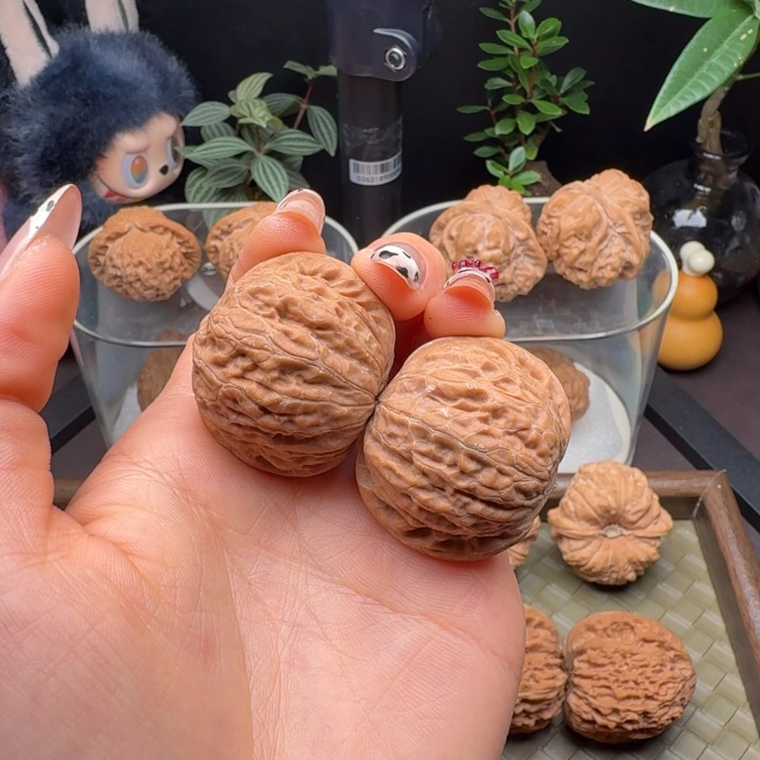 把件龙脊菩提全品铁锤37