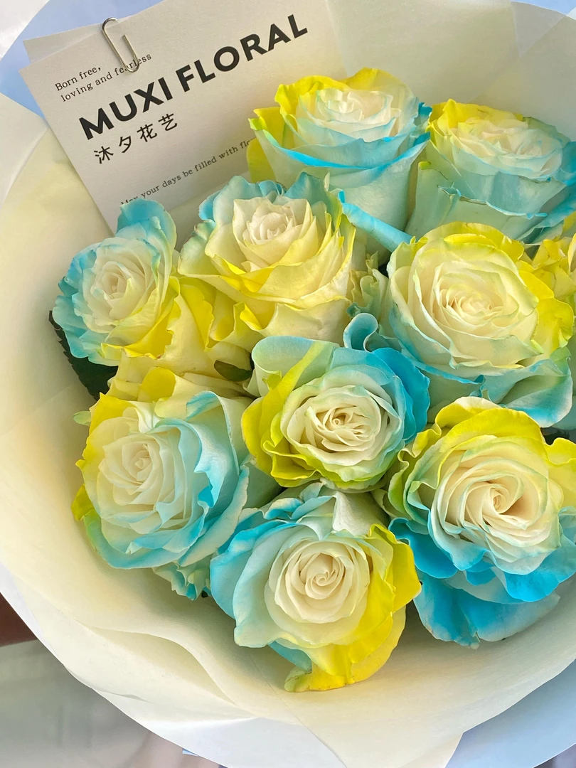 【稀有玫瑰】柠檬海盐-单头玫瑰（厄瓜多尔玫瑰色系）