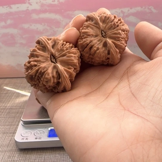 桃核吊坠?***！核桃核桃