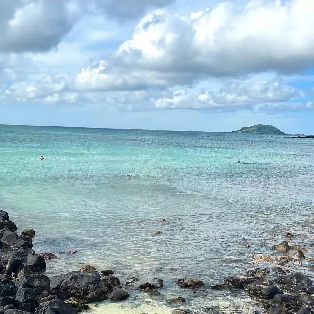 【裤子】百搭时尚简约显瘦时尚直筒冲锋裤