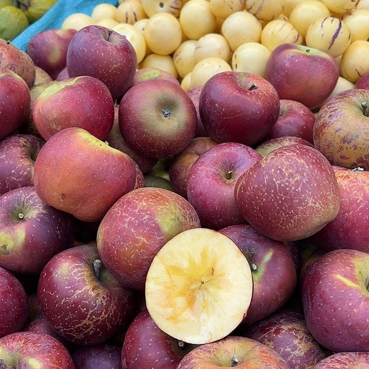 中国大陆丑苹果5斤