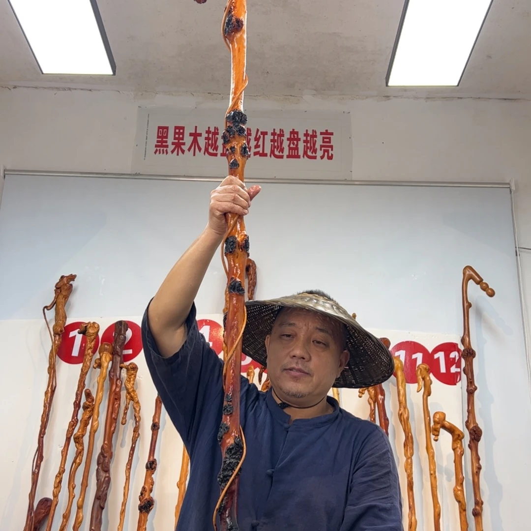 三***笑黑果木其他黑果木938