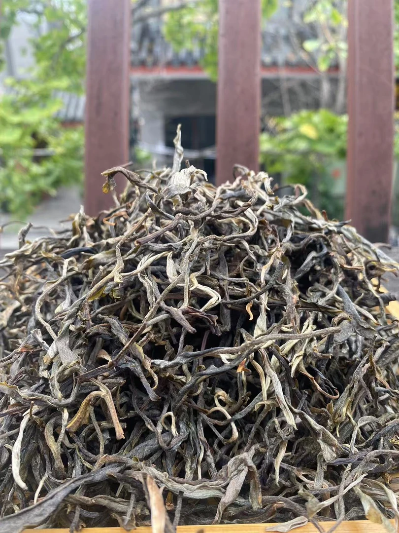 临沧普洱茶生茶散茶