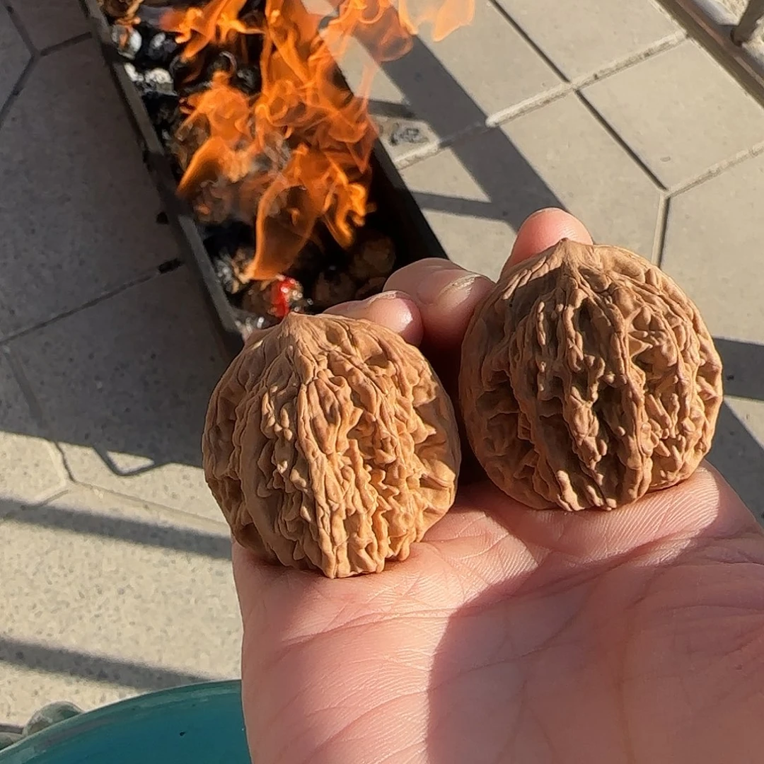 一***崽送哥哥昂和哪般