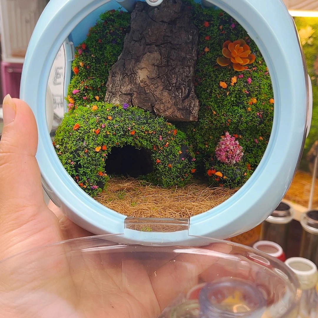 泡泡玛特送海南素贝