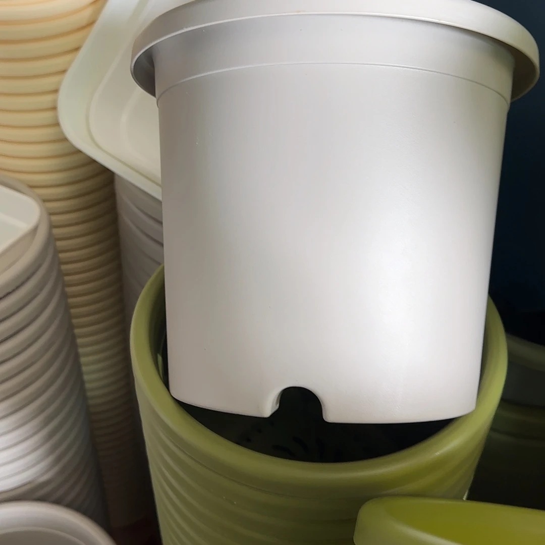 树脂四季4号无托8个灰白微瑕