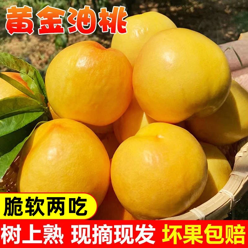 山东蒙阴黄油桃2.5斤/4.5斤脆软两吃产地直发坏果包赔 rz