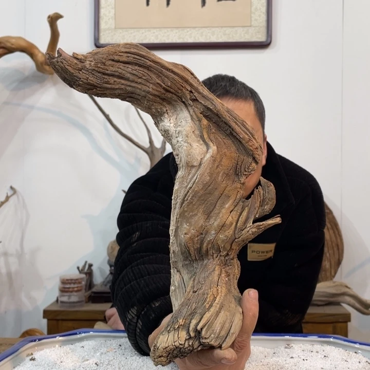 海**川我们都是好孩子呀