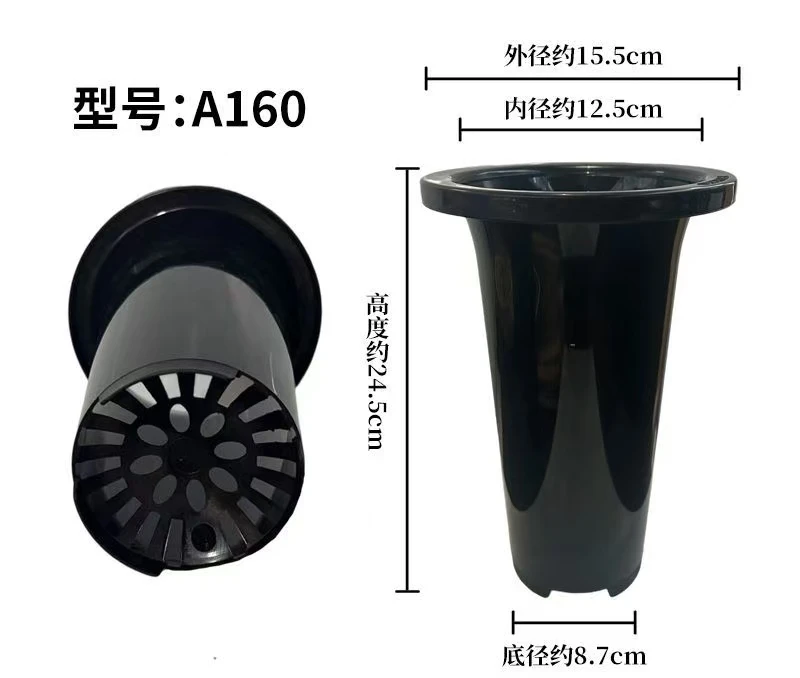 兰花专用塑料黑盆加厚款经久耐用+兰花专用沥水罩
