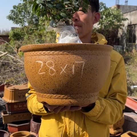 紫砂花盆特价包邮秒杀