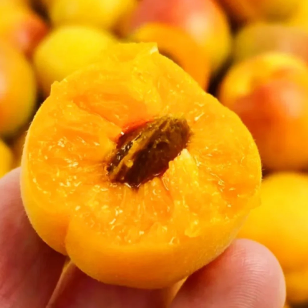 杏梅/500g   生熟随机发货～困软之后超甜哦