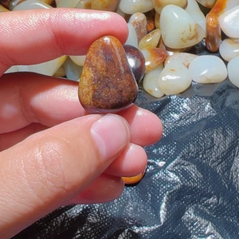和田玉未镶嵌颈饰6.5克