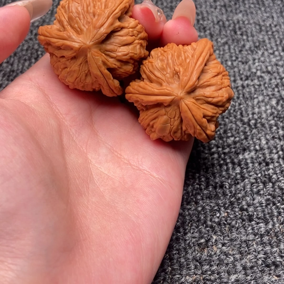 ****木质类白狮子正奔