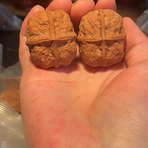 *****把件文玩核桃血麒麟带彩37