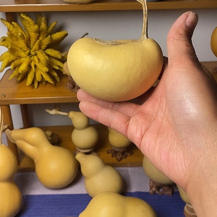 忆***乙青皮葫芦手把件摆件葫芦腰子