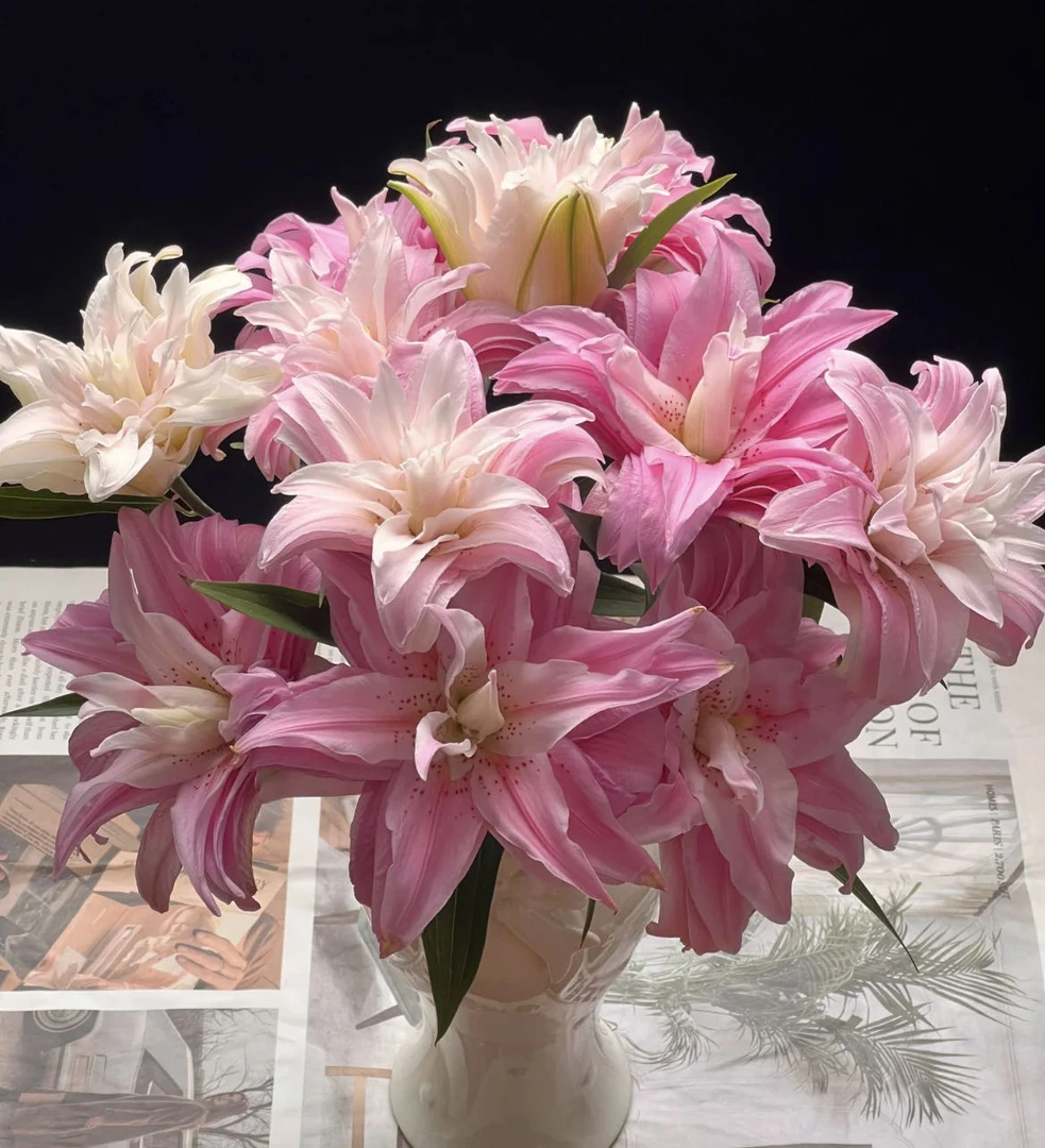 【小阿阮】A级#戴安娜#奶粉色重瓣百合花期长家庭鲜花装饰 顺丰直发