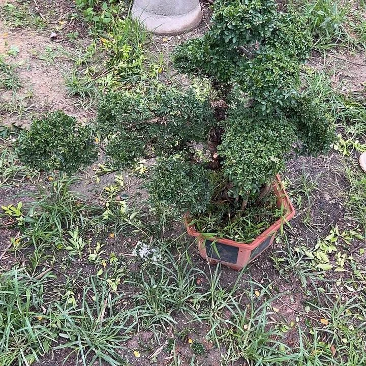 十***风哈哈哈哈哈哈哈哈
