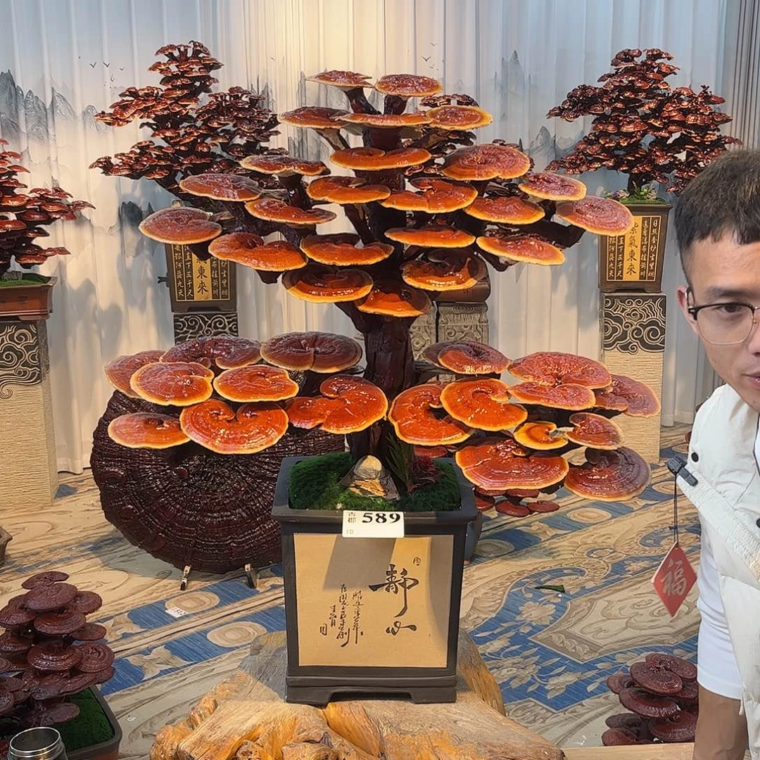 无花朵8888888888889