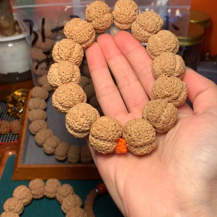 渡***雄手串金刚菩提24尺寸终结者