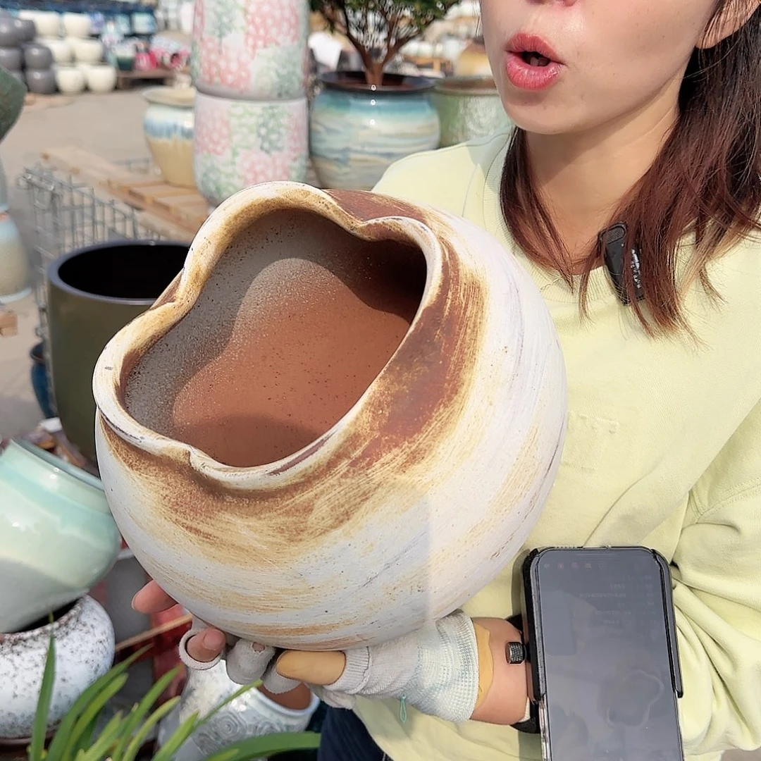 王嫂花盆1101-462高25口17