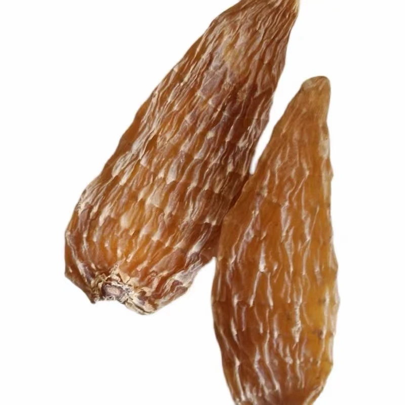 长白山深山天麻梦生