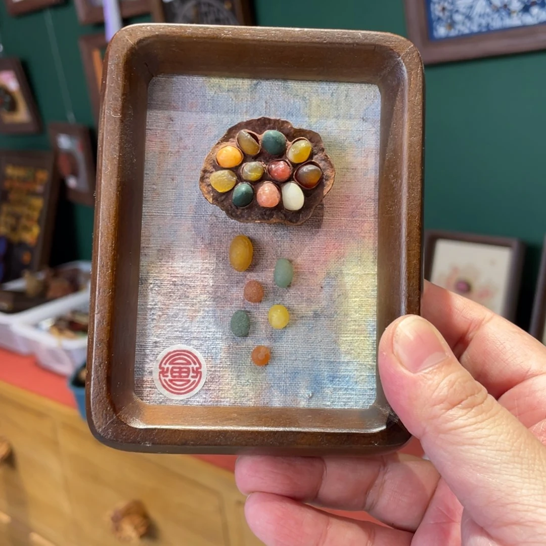 核桃木/黑胡桃（胡桃木）叶****菡8079