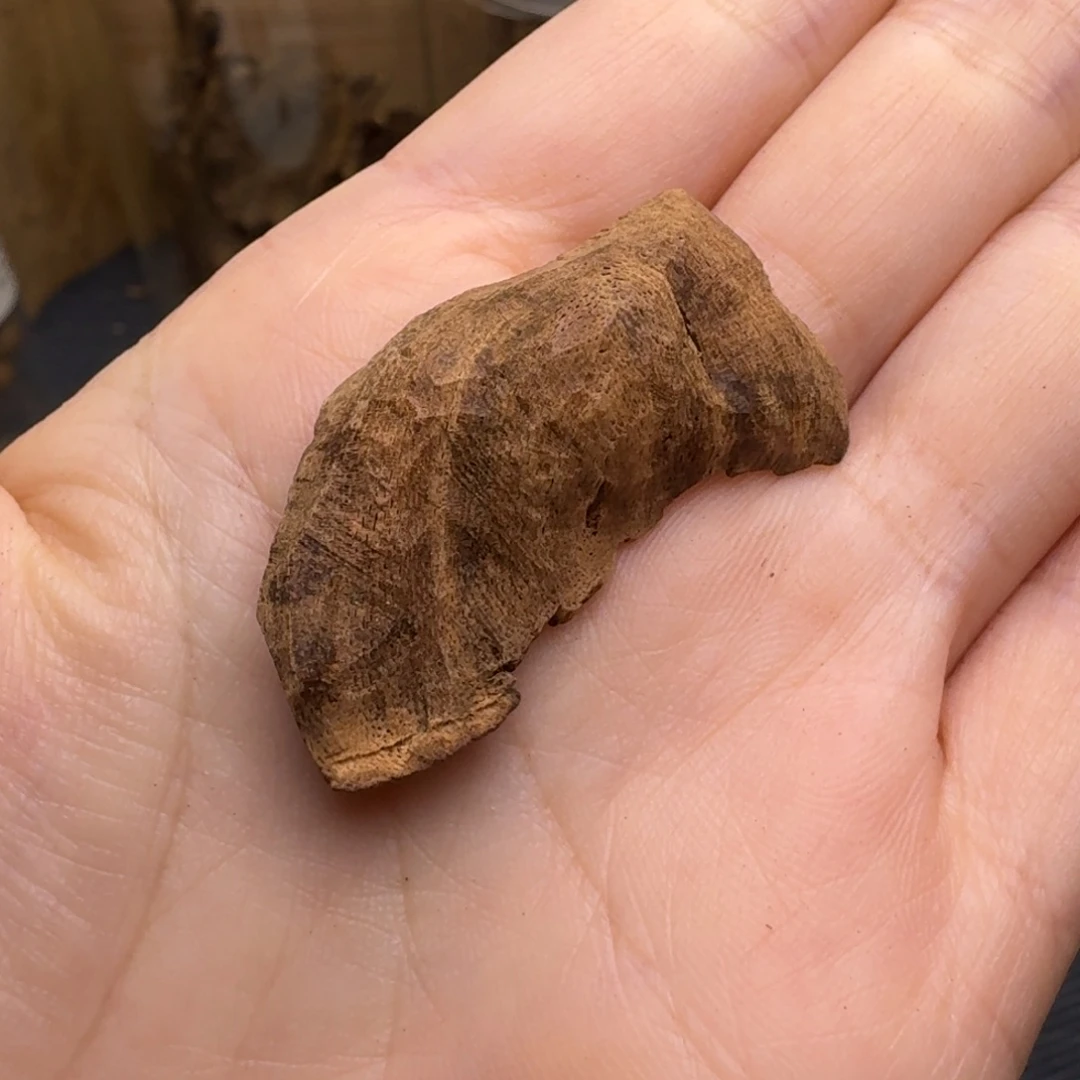 木海南霸王岭沉水熟结香0.9克