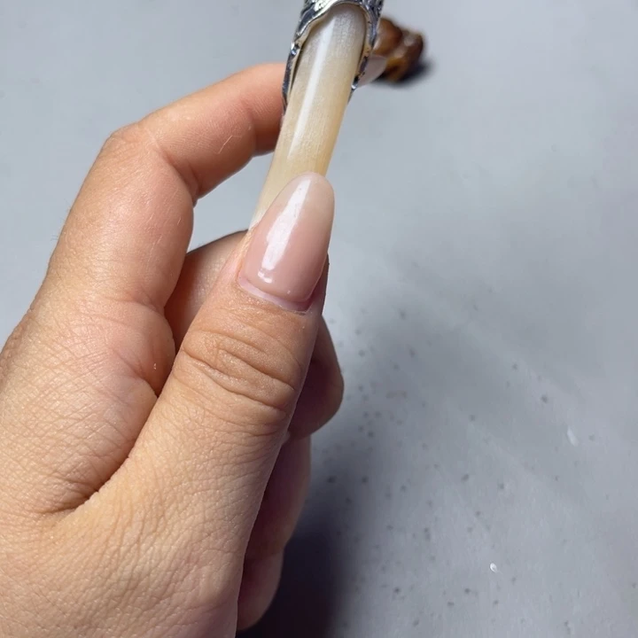 大果紫檀（缅甸花梨）