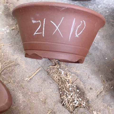 100-8。         21-10
