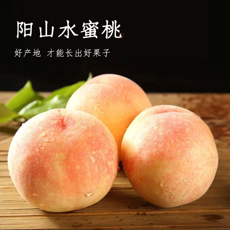 【TY】正宗无锡阳山水蜜桃 5-6两8只装送1箱3-4两8只装 礼盒装 顺丰次日达江苏省