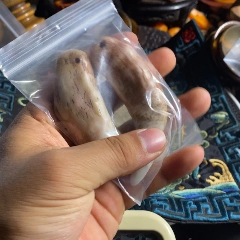 瓷片?**?寻呼台的人也太少见啦