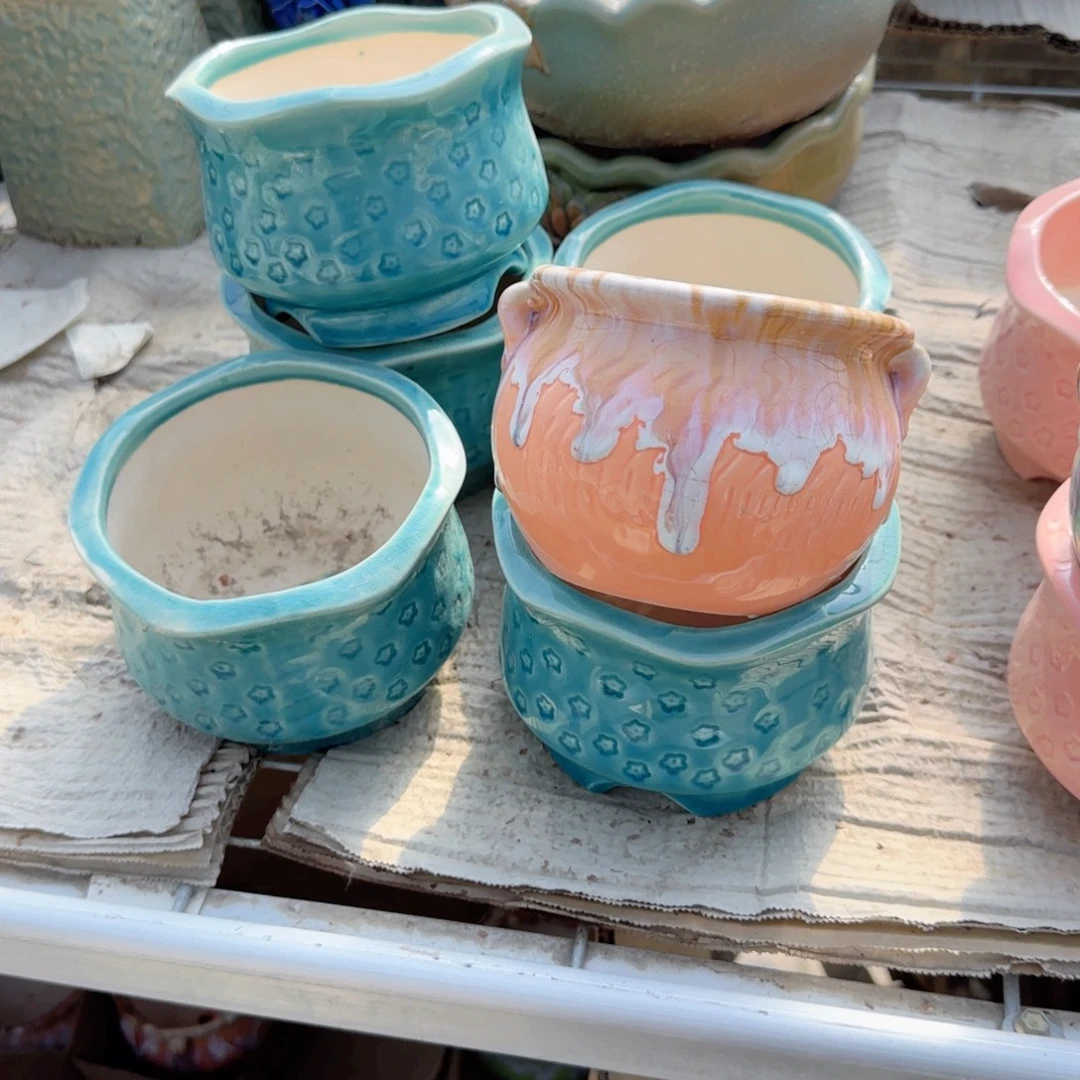 无花朵六个花盆样式随机