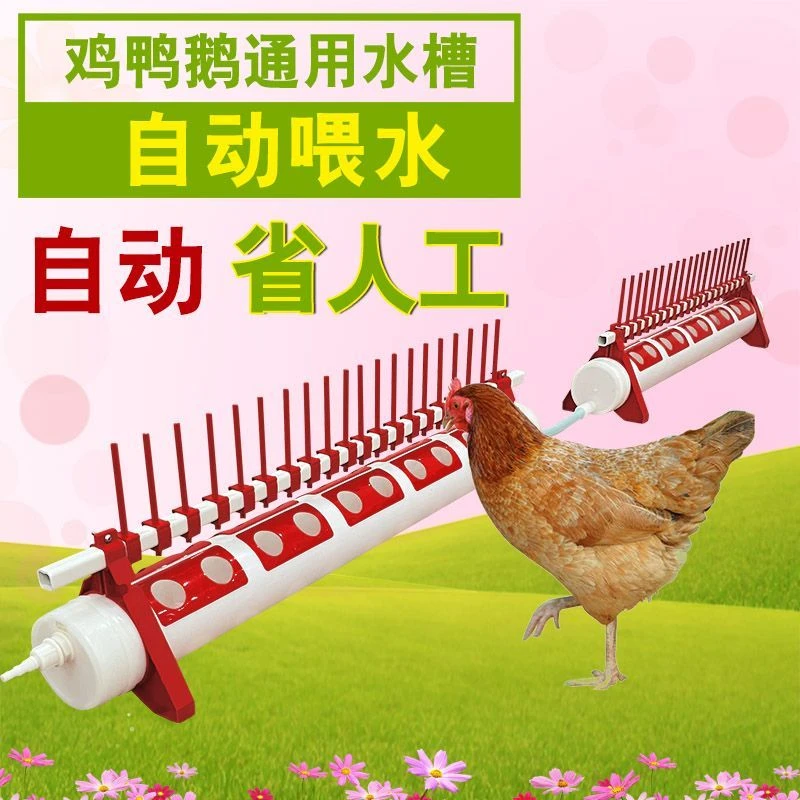 鸡用水线自动水槽养殖鸡鸭饮水器减压阀饮水水壶水位配件家禽