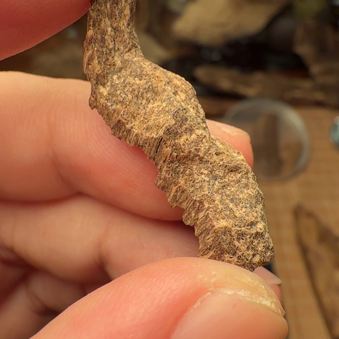 沉香沉水缅甸密支那