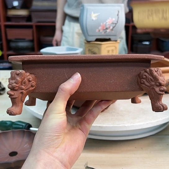 用****8紫砂花盆里都藏的什么