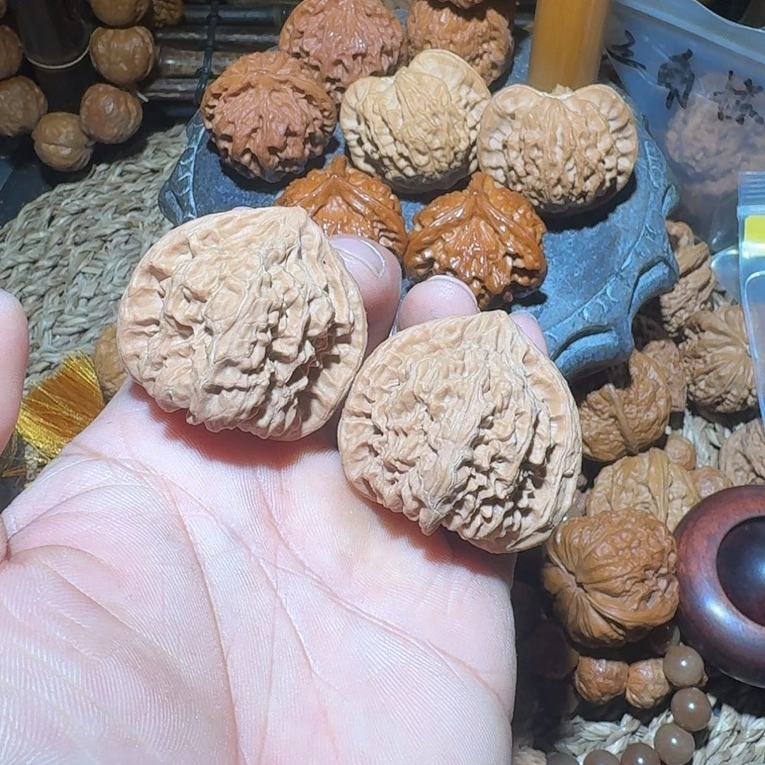 核桃兴隆火焰马蹄40全品